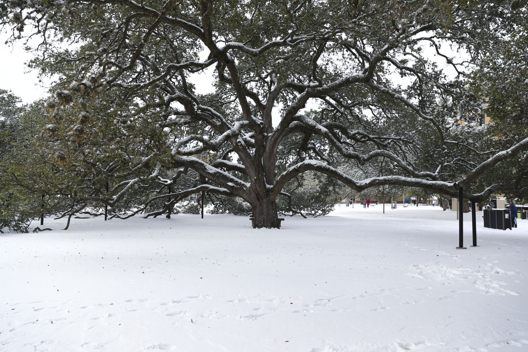 Winter Weather